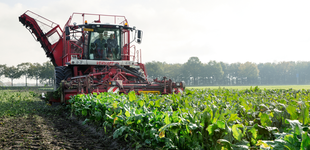 Van raak beets harvesting